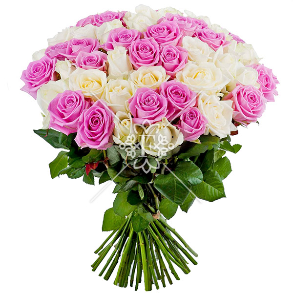 История любви – букет из 51 розовой и белой розы История любви - букет из 51 розовой и белой розы